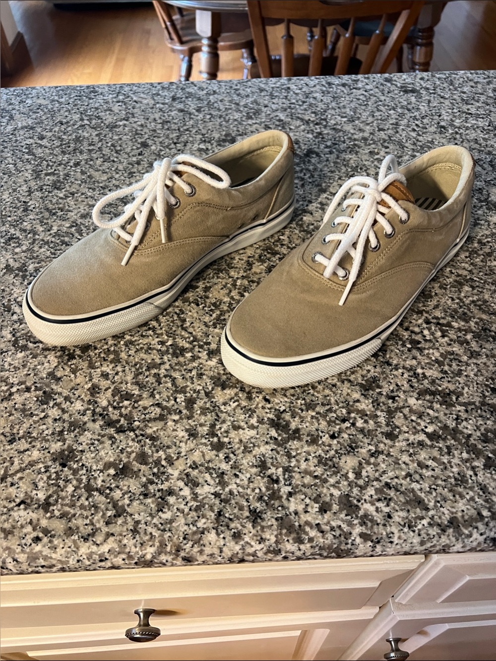 Sperry Taupe Canvas Low-Top Lace-Up Sneakers
